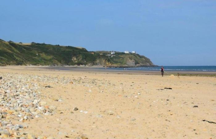 Calme en juillet, plus de touristes allemands… Bilan de la saison estivale dans le Pas-de-Calais