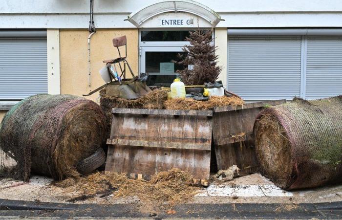 Des agriculteurs du Gers déversent leur fumier devant le centre des impôts