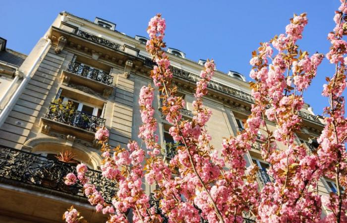 son appartement parisien inspiré de Venise