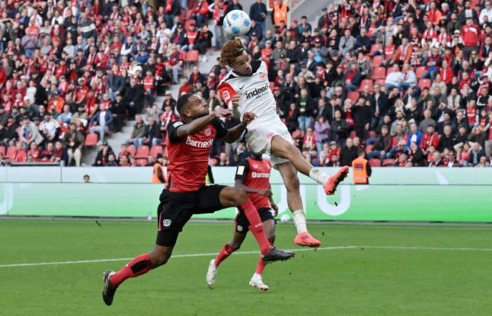 Toppmöller énervé à cause de la scène de penalty : « Les garçons sont en colère, à juste titre » | «Malheureusement, tout le monde sur le terrain n’était pas au top de sa forme» | vidéo