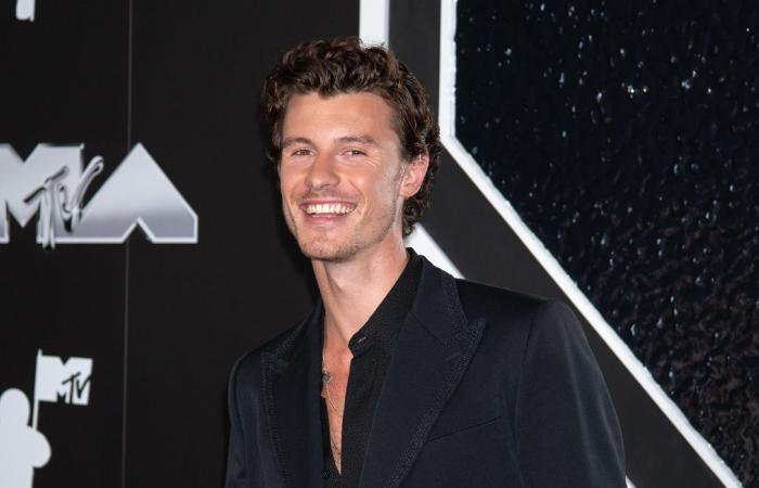 Shawn Mendes se sent enfin bien dans sa peau grâce à une thérapie