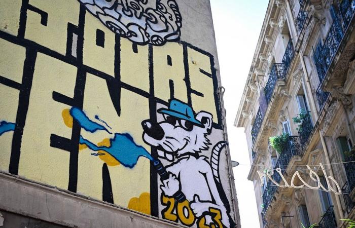 Le rat, nouvelle égérie mode des artistes marseillais