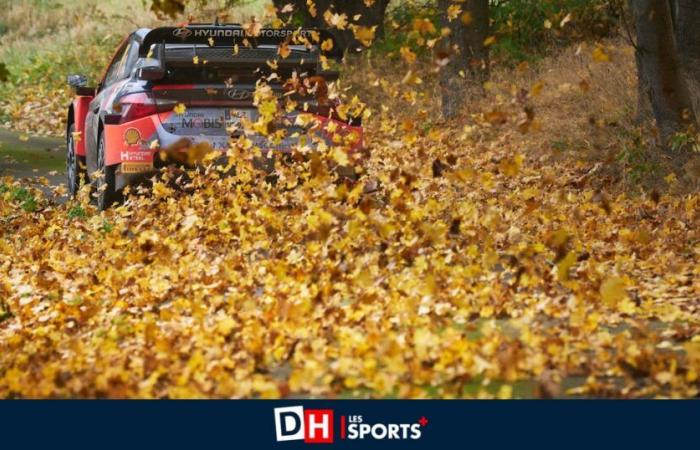 Thierry Neuville arrive en leader en Allemagne : “On a fait Fast, mais pas Furious !”