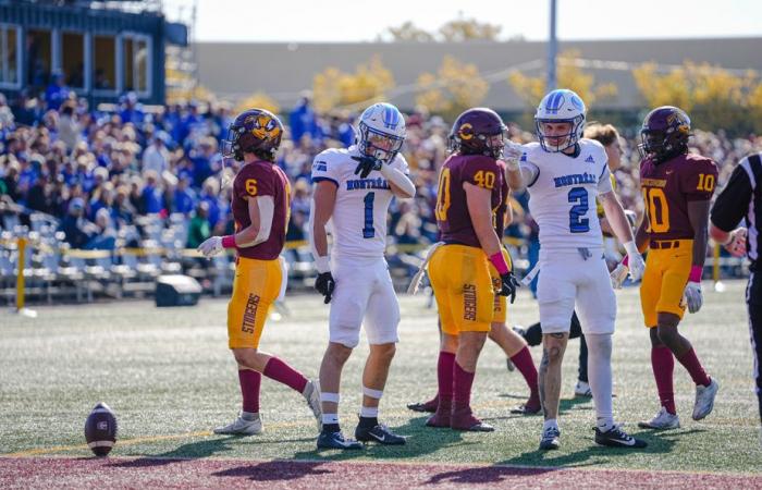 Carabins 33 – Stingers 3