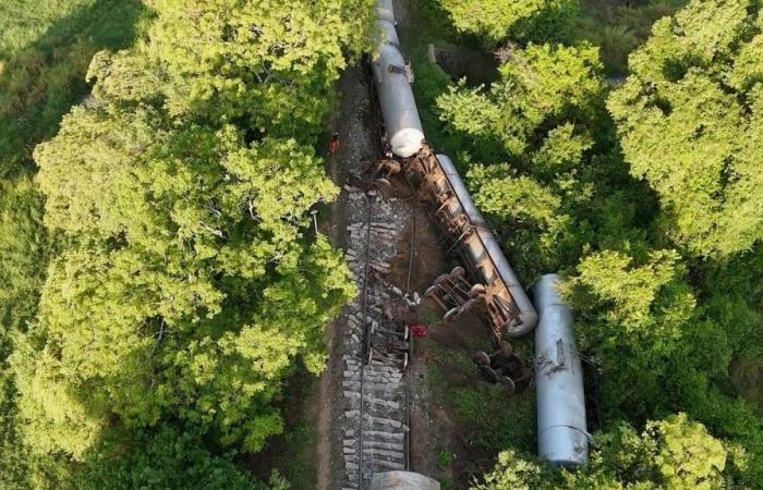 Un train heurte et tue 2 éléphants sauvages au Sri Lanka