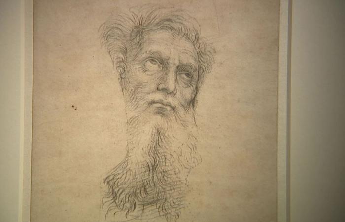 “C’est une collection inestimable.”, les dessins du génie italien Raphaël exposés au Palais des Beaux-Arts de Lille