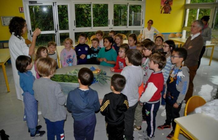 une classe prépare le repas de la journée