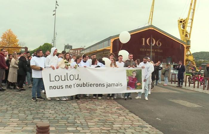 La disparition d’Owen. Une marche blanche parcourt les quais de Seine pour rendre hommage à « Loulou »