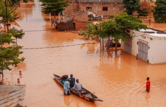 55 600 victimes et 1 002 hectares de cultures inondés au Sénégal, silence radio côté Mauritanie