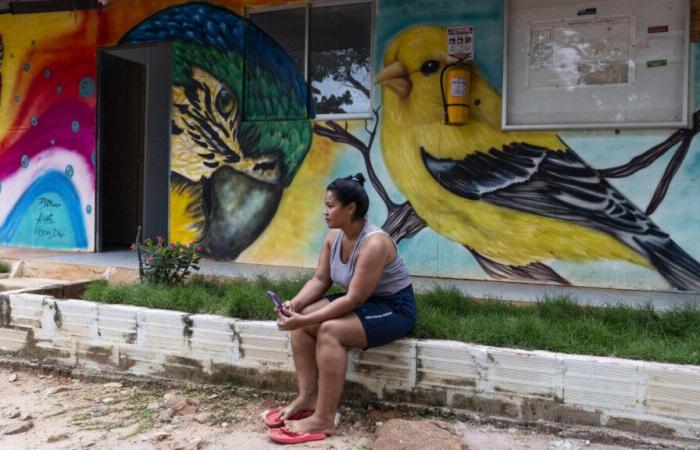 Bienvenue à Tierra Grata, en Colombie, où d’anciens combattants des FARC se sont tournés vers la conservation des oiseaux