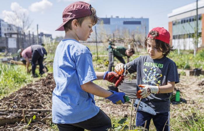 Argent et bonheur | 10 choses qui marchent au Québec