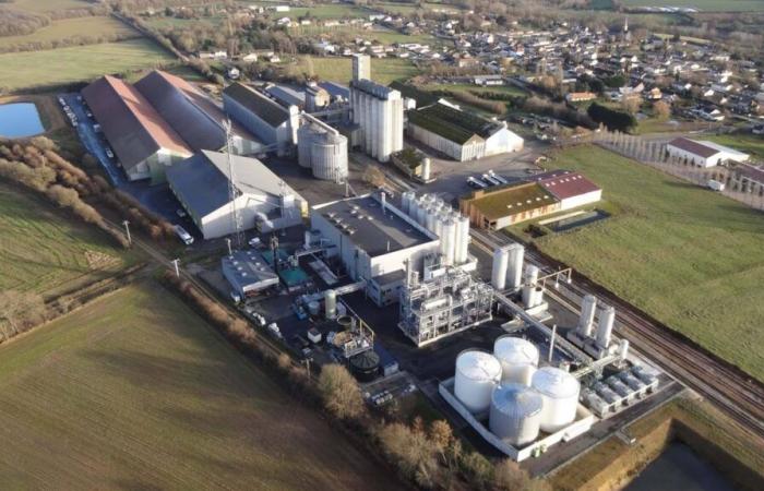 un autre incendie dans le silo à tournesols