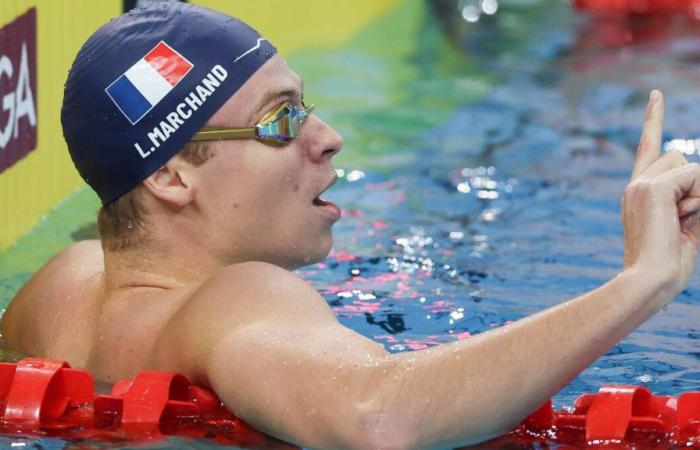 victoire facile sur 400 m 4 nages et nouveau record de France pour Léon Marchand à Shanghai