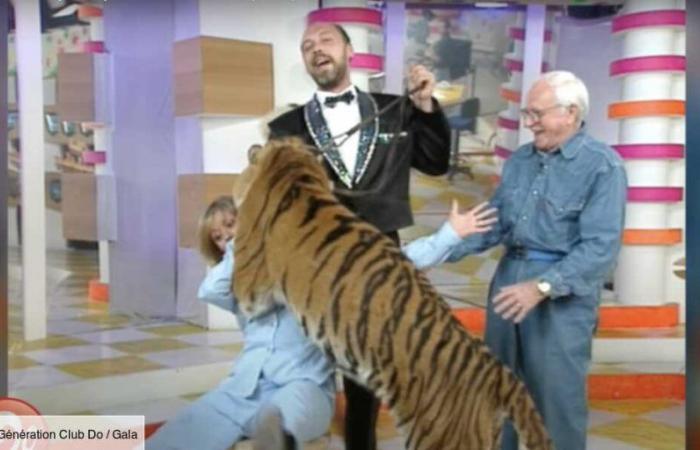 une archive impressionnante refait surface, un tigre se jette sur Dorothée