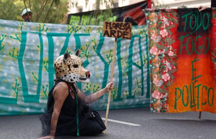 COP16 sur la biodiversité | Allons-nous passer des paroles aux actes ?