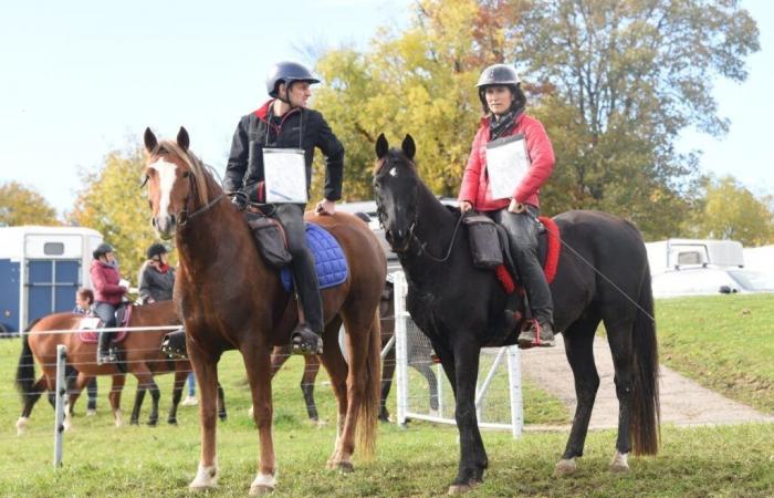 En 20 ans, les Franches Equi Trail ont conquis le cœur des cavaliers d’ici et d’ailleurs