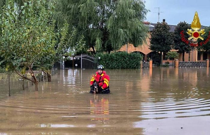 EN IMAGES. L’Italie sous les eaux après de fortes pluies, un mort et des dégâts importants