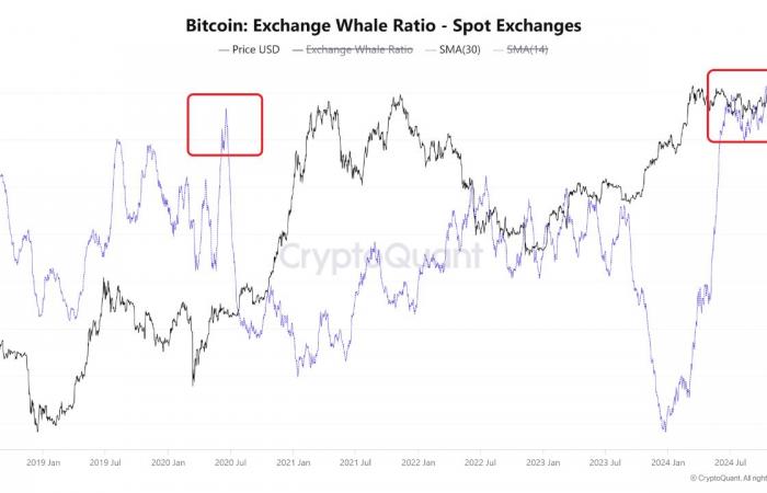 3 signes : la « phase parabolique » de Bitcoin avec un objectif de 250 000 $ est sur le point de commencer