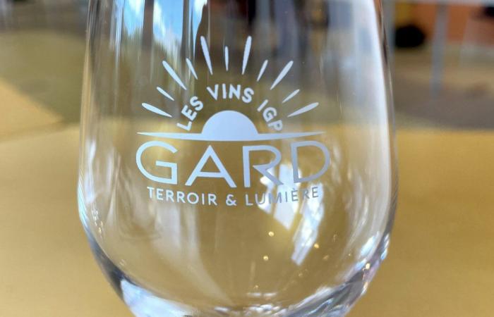 GARD Tous engagés et tournés vers l’avenir des vins