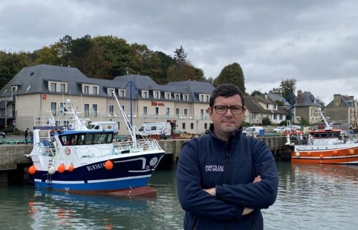 Une coquille Saint-Jacques moins chère mais la demande n’est pas là