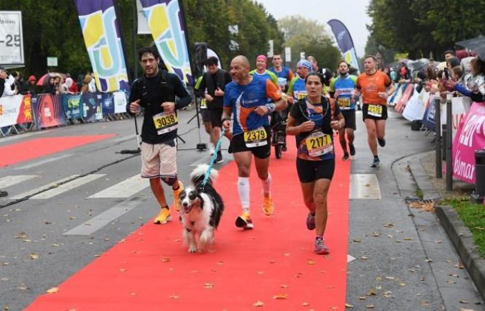 retrouvez toutes nos photos du Marathon Seine-Eure