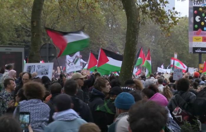 Dans la capitale, des milliers de manifestants réclament un cessez-le-feu