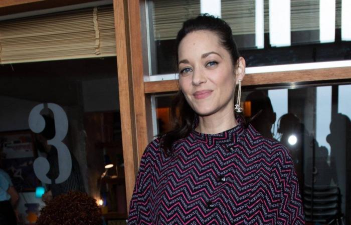 Marion Cotillard prête à se lancer dans la chanson ? Les révélations de Maxim Nucci sur la préparation de son premier album