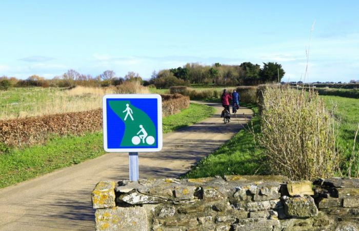 A vélo, quels sont vos besoins et vos pratiques ? Le département de la Manche enquête