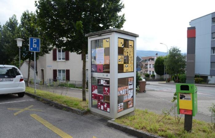 Les cabanes aux livres de Delémont devraient reprendre du service grâce à la surveillance citoyenne