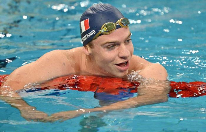 trois succès et quatre records de France pour Marchand à Shanghai