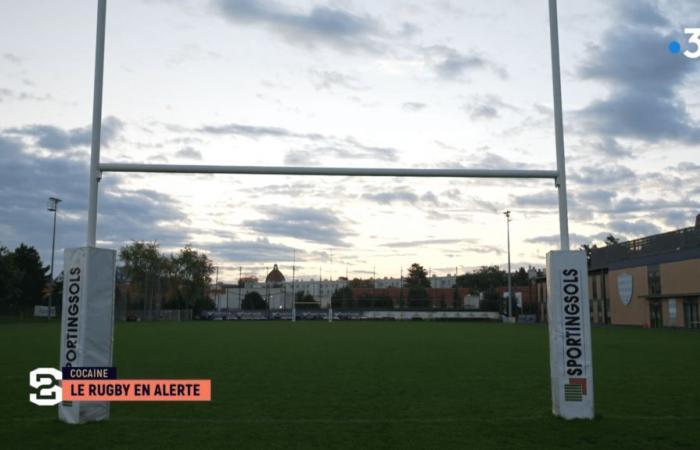 VIDÉO. Face au fléau de la cocaïne, le rugby en alerte