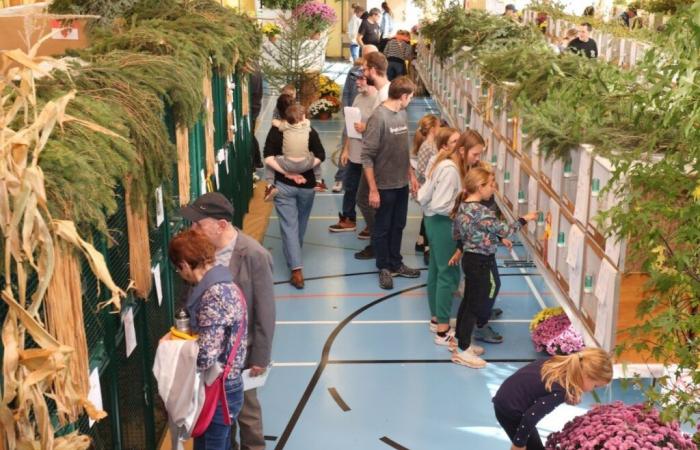 Véritable succès populaire pour l’exposition marquant les 50 ans de La Bergeronnette à Courgenay