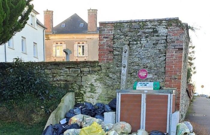 envahie par les détritus, cette commune du Calvados élève la voix