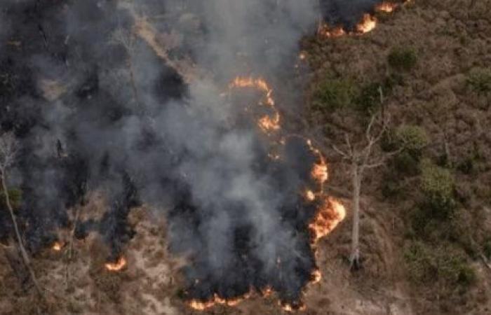 La prévention des incendies de forêt au Pérou est notre priorité