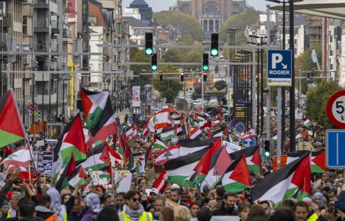 Environ 32 000 personnes descendent dans les rues de Bruxelles pour exiger un cessez-le-feu dans la bande de Gaza et au Liban