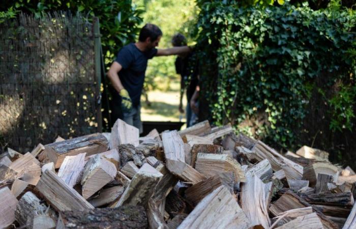 dans le Marais Poitevin, du bois de chauffage pour couper à moindre coût