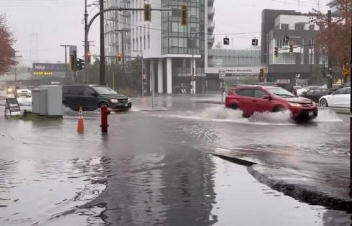 Inondations en Colombie-Britannique : du saumon dans les rues