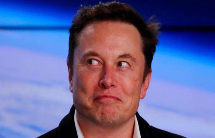 Elon Musk distribue un million de dollars chaque jour ; voici comment l’obtenir