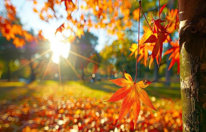 Quelles sont les dernières tendances météo pour la Toussaint en France ?