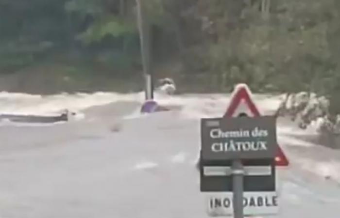 En Haute-Loire, la vache symbole de la crue historique n’a pas survécu