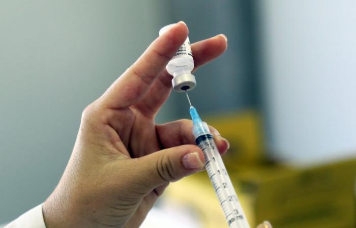 Vaccins testés en urgence en cas d’épidémie du virus mortel de Marburg