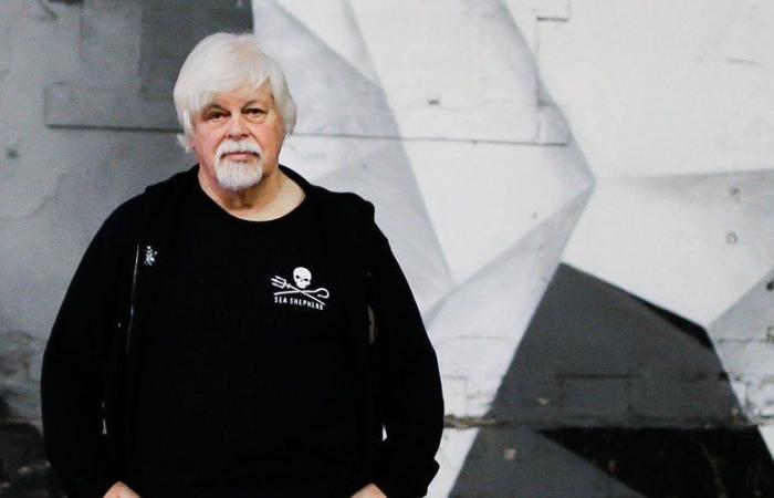 Paul Watson, le protecteur des baleines, deviendra le prochain citoyen d’honneur de Saint-Ouen