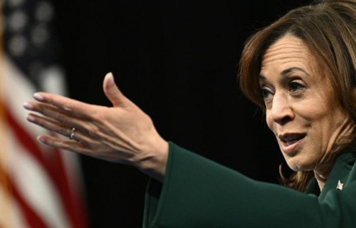 à Dearborn, la communauté arabe menace de « punir » Kamala Harris