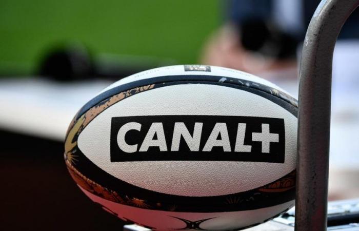 grande nouvelle pour la première division féminine, Canal+ diffusera les matchs