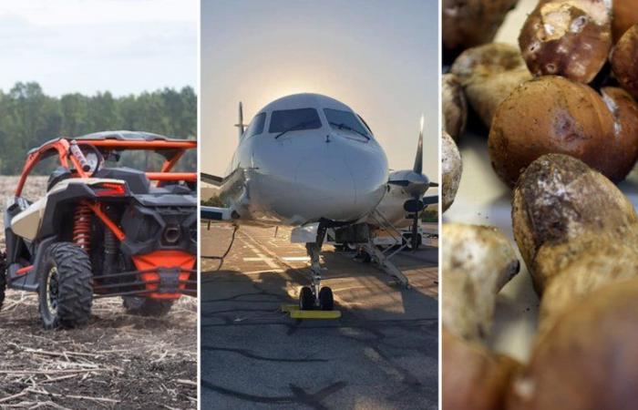 Mort en buggy, nouveaux vols à Nîmes, consignes champignons… l’actualité incontournable de la région