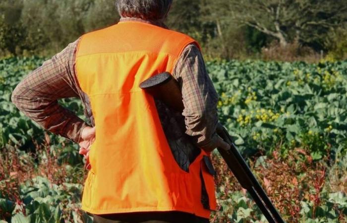 Un maire de la Somme violemment bousculé et blessé par un chasseur