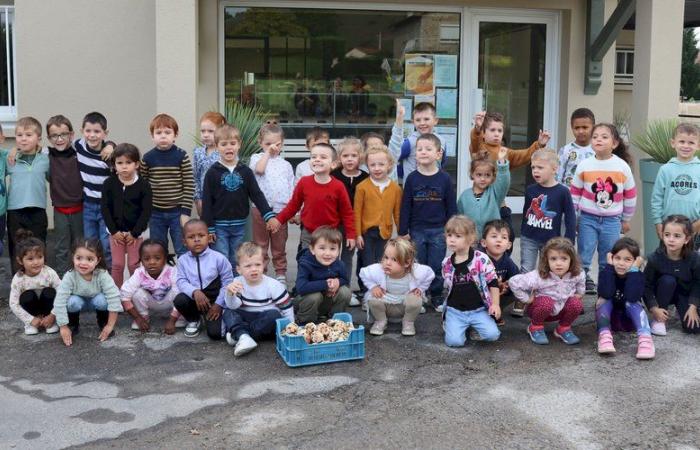 Boulangers d’un jour, les enfants de la maternelle préparaient leur propre pain