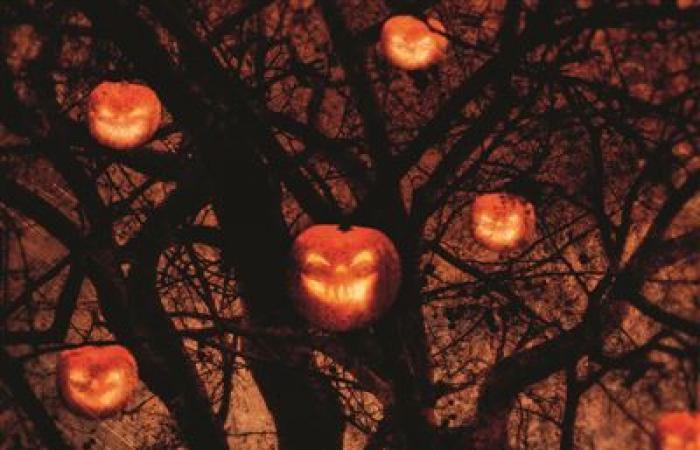 5 livres pour Halloween, vous allez adorer frissonner – Paris Select