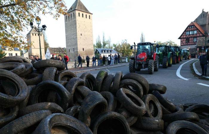 En Alsace, les élus approuvent le principe d’une taxe sur les poids lourds dès 2027