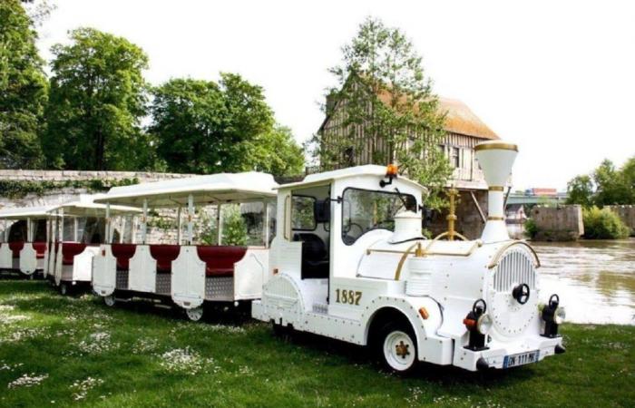 Maine-et-Loire. Qui a envie de conduire le petit train touristique de cette ville ?